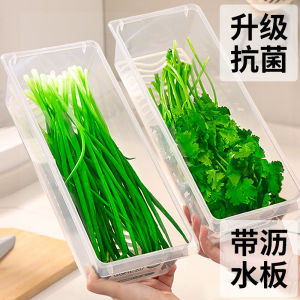 Food Grade Plastic Keeping Box for Fridge Egg Coriander Garlic Storage Organizer Rectangle Shape Kitchen Accessories