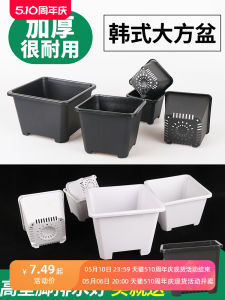 Thickened Plastic Small Square Pot for Planting Succulents Flowers And Greenery Simple Design Black Color Ideal for Mobile Accessories