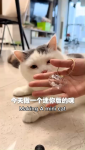 Cat Hair Storage Keychain 猫毛收纳挂件 可爱创意钥匙扣 Memorial Collection