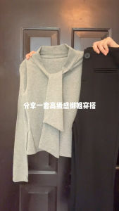 Big Sale Leak-Picking 2024 Spring and Autumn Long Sleeves Knitwear Pullover Female Korean Style Slim Fit All-Matching Ins Tide T-Shirt Elegant