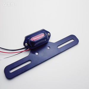 For Triumph Ducati Honda Yamaha Suzuki Universal Motorcycle Integrated Rear Brake Light Scooter License Plate LED Lamp Indicator