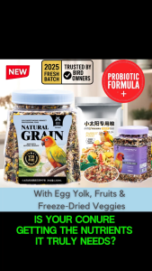 Bird Food | Parrot Food - Jonsanty Premium Conure Food 1200ml | Nutrient-Rich Bird Food | Enriched with Fruits Vegetables & Essential Vitamins