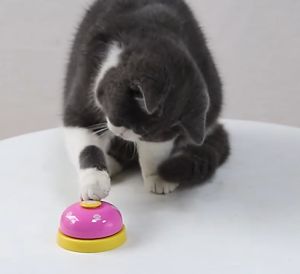 Pet Toy Training Bell Toy Dog Cat Call Bell Feeding Ringer