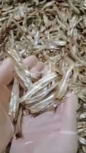 Cá Khô Cá Cơm Trỏng Loại Ngon Đặc Sản Nghệ An - Bếp Mẹ Mít