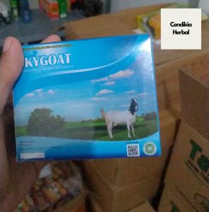 Susu Kambing Etawa SKYGOAT Original Susu Bubuk
