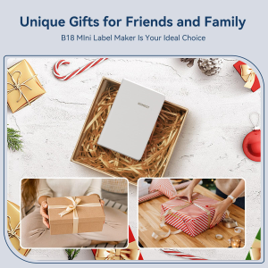 NIIMBOT B18 เครื่องพิมพ์ฉลากโอนความร้อนเครื่องผลิตฉลากบลูทู ธ มินิสายเคเบิลเครื่องประดับการปลูกสวน เครื่องฉลากไร้สายสำหรับโทรศัพท์ Android / IOS รวมกระดาษฉลากและริบบิ้นคาร์บอ