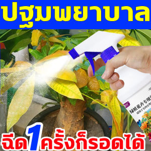 อาหารเสริมสำหรับพืช ปุ๋ยเร่งดอก 500ml ต้นไม้งาม บำรุงต้นไม้ เร่งราก คืนสภาพต้นไม้ ปุ๋ยเน้นดอกไม้ บำรุงต้นไม้ให้แข็งแรง ฮอร์โมน เร่ง ดอกผล ปูนุซิบาล การกุ้ง 500ml