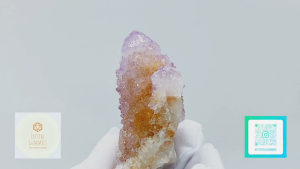 SG LOCAL - Authentic Spirit Quartz 南非精靈水晶