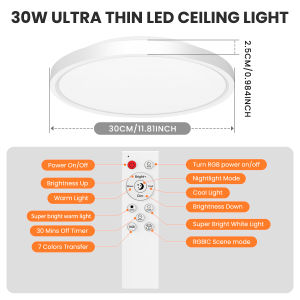 RGBIC LED Ceiling Light Dimmable with APP & Remote Control 16 Million Colors Smart Voice Control Music Mode for Living Room