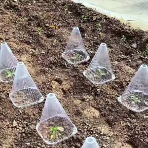 20pcs/set Large Thickened Reusable Humidity Cover Outdoor Plants Anti-Frost Bird Snail Protecting Garden Seedlings