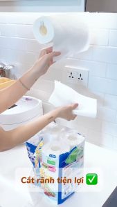 Khăn giấy bếp Nhật Bản siêu thấm hút đa năng Ellemoi 2 lớp (4 cuộnx100 tờ) - Hachi Hachi Japan Shop