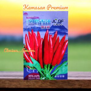 (KEMASAN PREMIUM) BIJI/BENIH CABE RED CLUSTER | CABE RAWIT TUMPUK JEPANG (isi -+300 Butir)