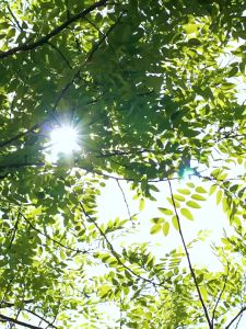 Mesin Es Ice Cube Maker Machine Portable Dengan Handle 15KG/24H membuat es cepat 6 menit