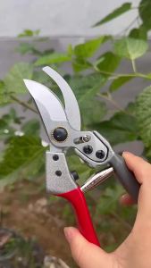 Multifunction Heavy Duty Pruning Shears