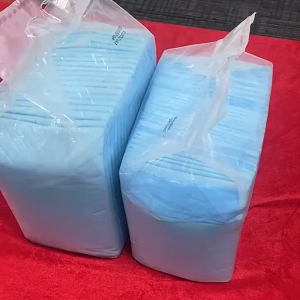 [ในสต็อก] Dog Pee Pad การดูดซับสูง ป้องกันแบคทีเรีย Pee Pad Dog Pee Pad แมว Pee Pad แผ่นดูดซับ สามารถใช้กับทรายแม