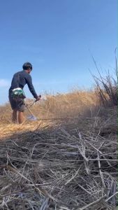 ตัดหญ้า เครื่องตัดหญ้า 2จังหวะ เครื่องตัดหญ้าครบบชุด RHT411  แถมใบตัดหญ้า 3 แบบ