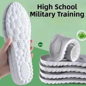 XIANZHAO | Absorbent Anti-Odor Aromatic Atractylodes Rhizome Insoles