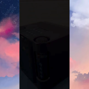 FAST DELIVERY Speaker Bluetooth Karaoke Full Bass Mini Portable dengan 2 Microphone 10W 2000 mAh