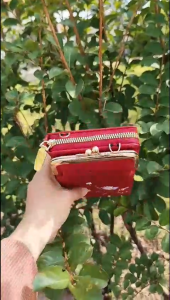 Ví nữ dài cầm tay kèm dây đeo chéo và đeo vai tiện lợi phối hoạ tiết cành hoa và khoá cài vô cùng sành điệu NEW-0062