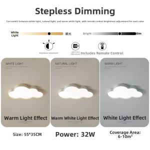 Sleek Design Ceiling Light