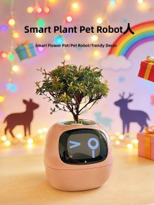 Useful Unique Gift