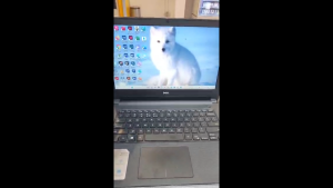 DELL VOSTRO 3459 LAPTOP  | INTEL i5 6TH GEN  |   8GB RAM  |  256GB SSD  |  14 INCH HD | 1 YEAR WARRANTY