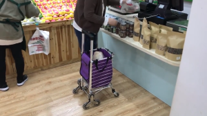 ViRYN 8 Wheels Aluminium Foldable Trolley Storage Easy Upstairs Shopping Cart Trailer Pasar Troli Boleh Lipat Market Trolley