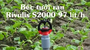 Bộ 10 béc tưới phun mưa béc tưới rau Rivulis S2000 nhập khẩu Israel
