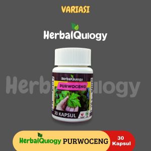 HerbalQulogy - PURWOCENG Isi 60 & 100 Kapsul Murni alami 100% Original 30 kapsul purwoceng proceng