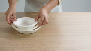 【SG】Specool® 20/50pcs Disposable Bowl/Plate/Cup/Spoon/Fork Eco-friendly Biodegradable Tableware Home BBQ Party Supplies