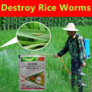 Hapus Serangga Imidacloprid 10% Insecticide Kill Whiteflies Termites Soil Insects 吡虫啉蚜虫飞虱除虫农药杀虫剂 ant killer ubat semut insect repellent racun semut racun serangga tanaman racun serangga perosak tanaman racun anai anai pesticides for plants 杀虫药水