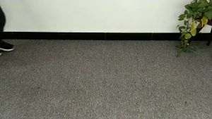 4-Layer Foldable Drying Net: A Comprehensive Guide