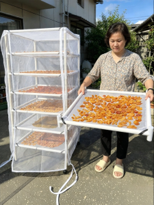 Landing Drying Net For Fruits Fish Jerky And Vegetables