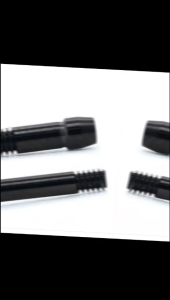 Ốc Abutment Titan Đen Tương Thích với Implant Biotem Osstem/HiossenDentium