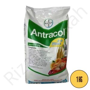 Fungisida Antracol 70WP