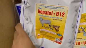 Bổ gan giải độc cho vật nuôi via HEPATOL + B12 (gói 1Kg) phòng báng nước sưng thận táo bón phân sống hỗ trợ tiêu hóa kích thích thèm ăn...