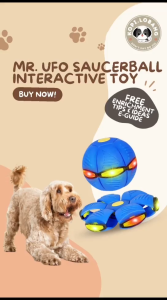 ✅[SG] MR. UFO SAUCER BALL INTERACTIVE TOY WITH 3 LED MAGIC LIGHTS★ Trick Training ★ FREE Training e-Guide Worth $7 ★ Enrichment ★ SG Stock ★ Kopi Lobang