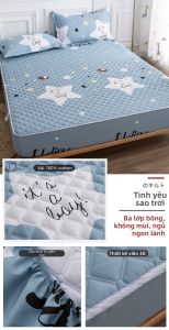 Deesse | Bảo Vệ Nệm Bông Dày Chống Trượt Chống Bụi Chống Bẩn