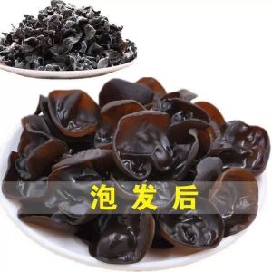 Authentic Northeast Black Fungus Dried Goods 500g Specialty Non-Premium Wild Mulberry Ear Mushroom Thick Meat Chinese Dry Goods
