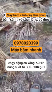 Máy băm tàu dừa chạy xăng máy băm cành cây 7hp