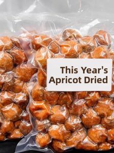 Natural Sun-Dried Apricots 2024 Xinjiang Four Teams Hanging Dried Fruits Tree Top Sun-Dried Apricot Snacks Nutritious Treats