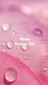 Face Republic Blooming Rose Melt & Remove Pore Cleansing Oil 150ml [Waterproof Make up Remover Hydrating No Blackhead] Vegan Kbeauty Skincare