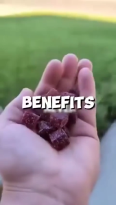 Local Halal Shilajit Gummies Himalayan Supplement Improve Energy and Immune Fulvic & Humic Acid Trace Minerals