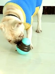 บอลให้อาหาร ของเล่นพร้อมปล่อยอาหาร ของเล่นฝึกทักษะสุนัข ของเล่นแมว ของเล่นหมา บอลให้อาหาร ของเล่นสัตว์เลี้ยง ของเล่น ที่ใส่อาหาร