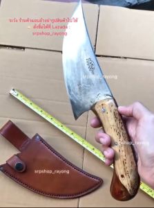 7.2 มีดแล่หมูหั่นหมู 3มิล สันหนา น.หนู ทำจากเหล็กใบกบอย่างดี ด้ามไม้พะยูง #srpshop\_rayong