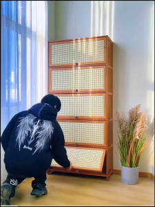 SIFU ตู้เก็บไม้ ตู้หนังสือ ห้องนั่งเล่นที่ทันสมัย ผู้จัดการกันฝุ่น ชั้นวางครัว ตู้เก็บเครื่องใช้โต๊ะ