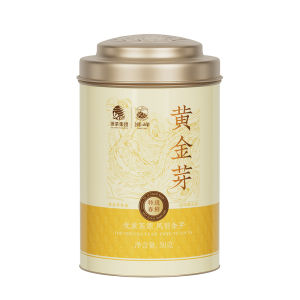 SHIFENG | Trà Xanh Mùa Xuân Trước Thanh Minh Từ Núi Cao