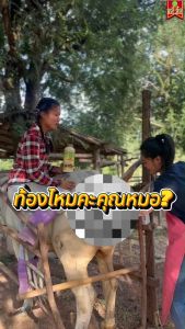 สูตรผสมติดง่าย สัตว์แข็งแรง ร่าเริง ลักษณะดี มีภูมิคุ้มกัน ฟาสท์ริช168 ไคโตซานฟาสท์พลัส เซต3ขวด สินค้าพร้อมจัดส่งใน 1 วัน สินค้าจัดส่งจากบริษัทแท้100%