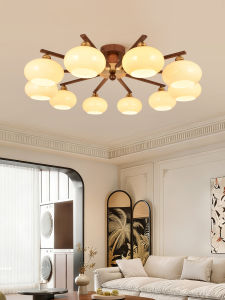 DGY | Vintage New Chinese Style Persimmon Ceiling Light