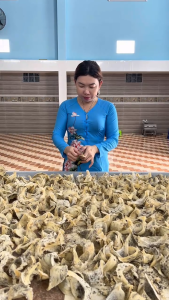 Yến Thô [Thiên Gia Phúc] 50g - Tặng kèm đường phèn táo đỏ hạt chia